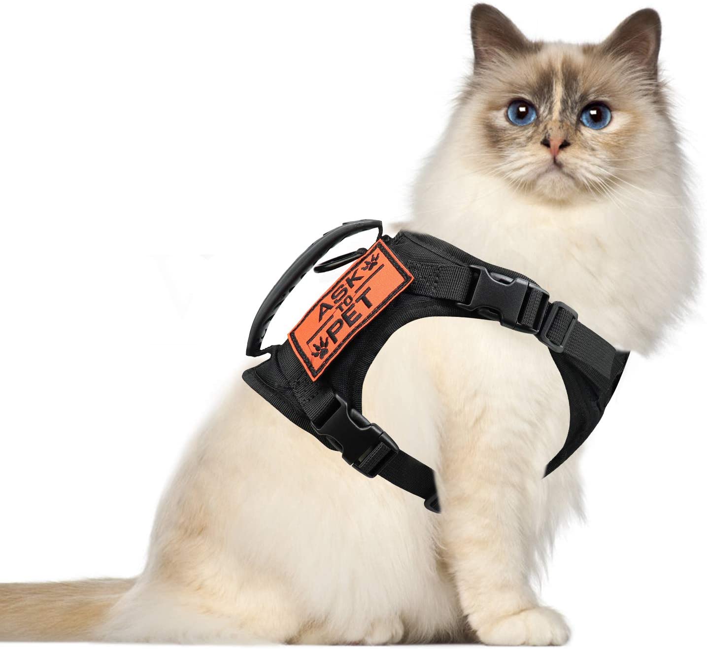 The Best Cat Harness Reviews and Buyer's Guide