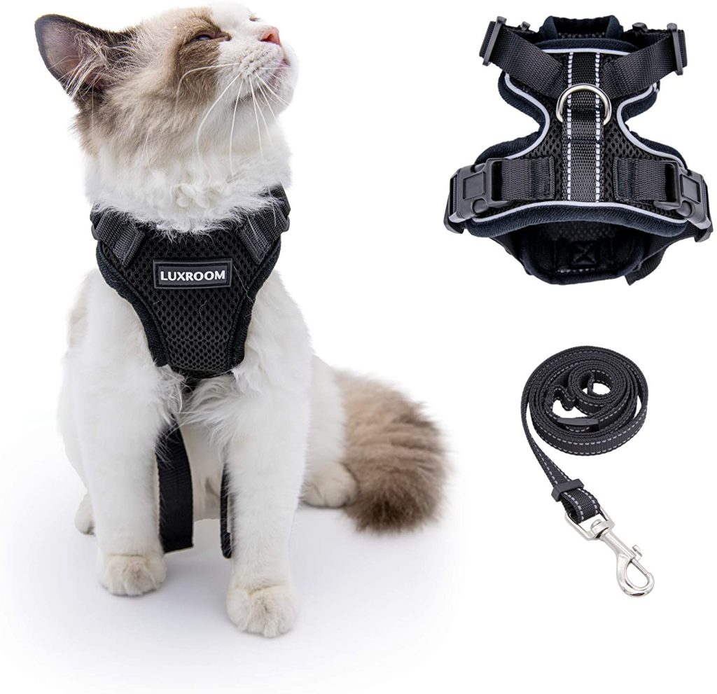 travel cat harness review
