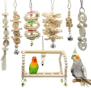 Deloky Bird Swing Chewing Toys