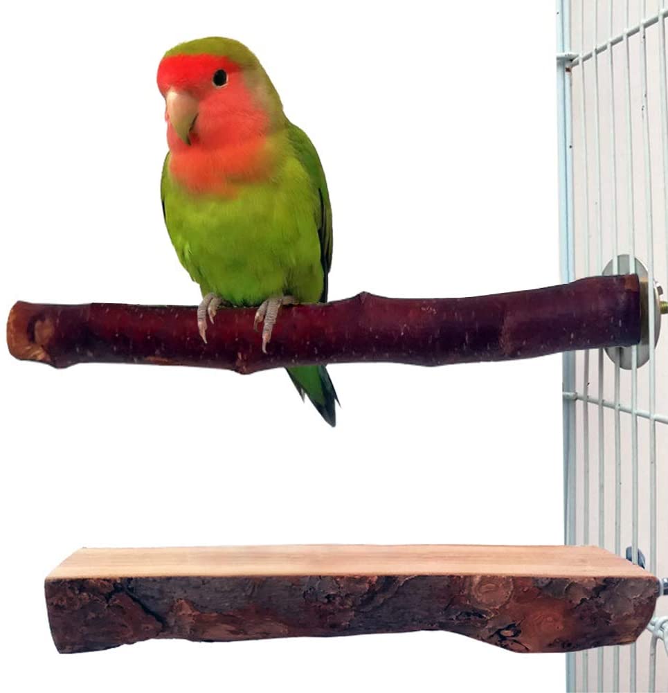 best perches for cockatiels