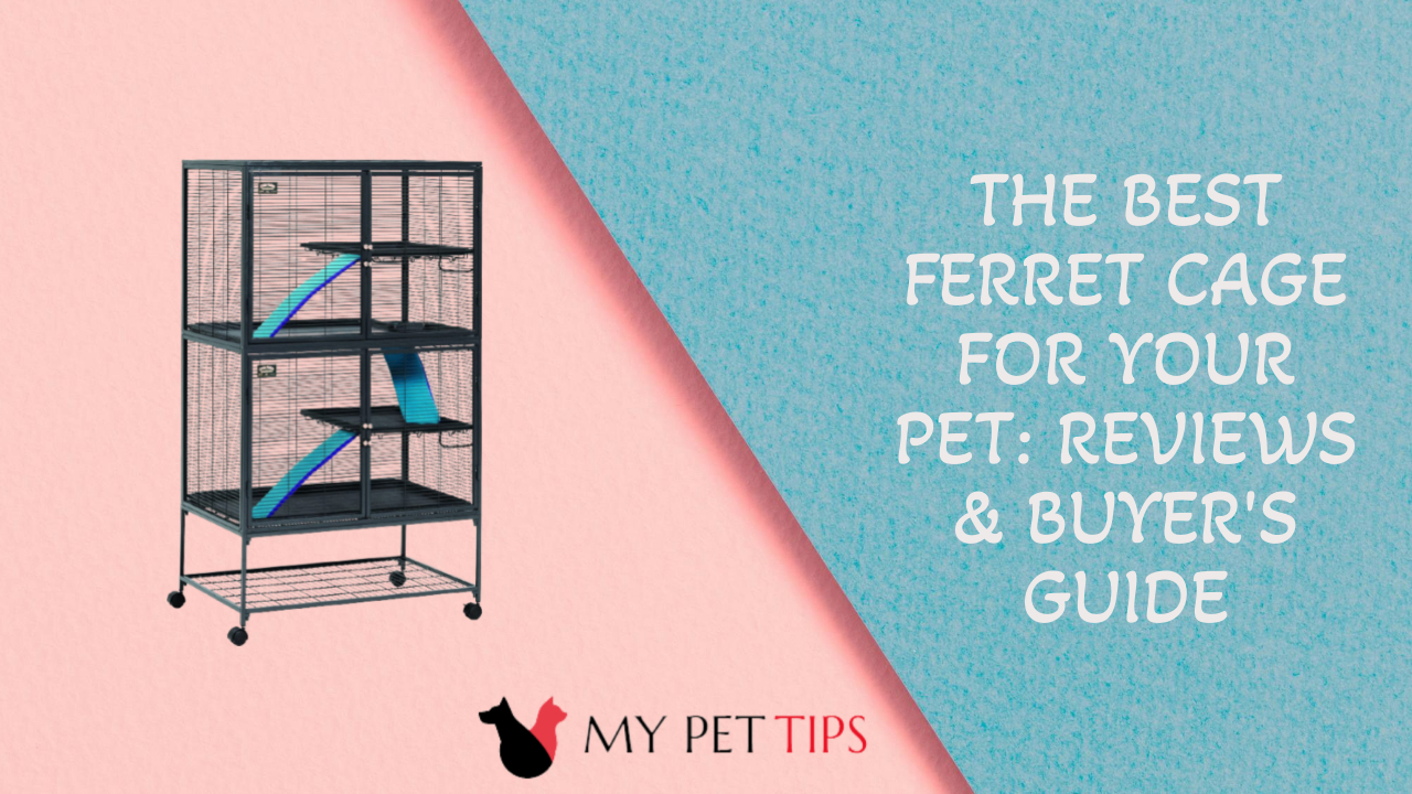 The Best Ferret Cage for Your Pet: Reviews & Buyer's Guide